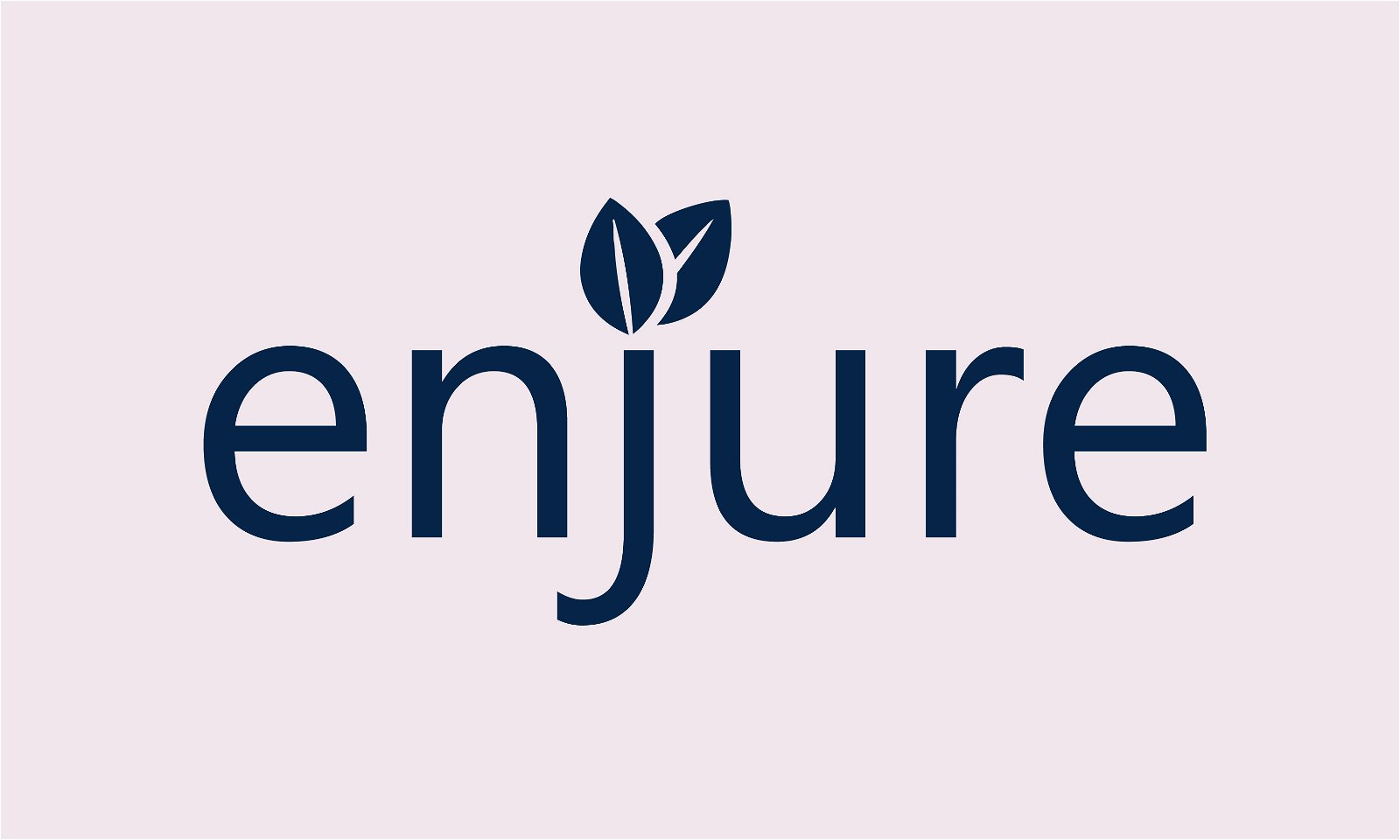 Available Business Name For Sale - Enjure